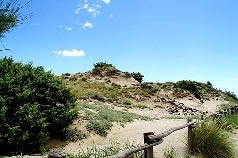 Le Dune WWF - TIRRENIA APPARTAMENTI MAGNOLIA E GELSO 