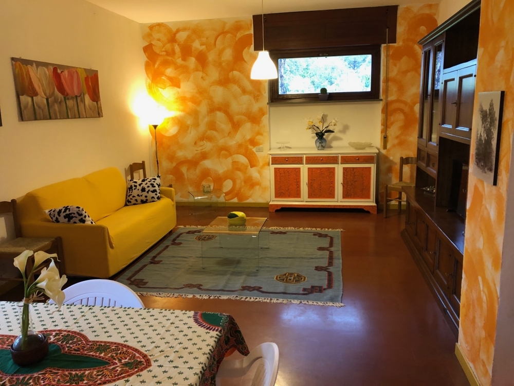 Living Room - Bedroom - Lunch/Dinner Area - TIRRENIA APARTMENTS GELSO & MAGNOLIA
